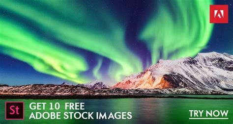 free adobe stock videos|More.